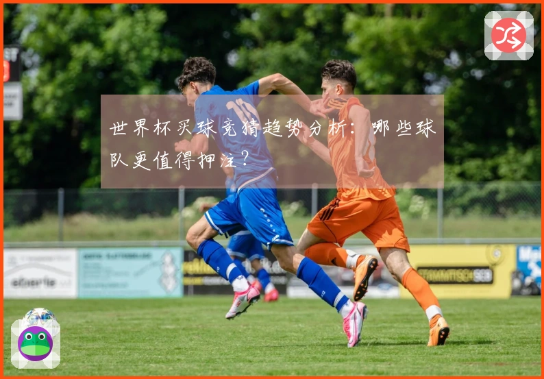 世界杯买球竞猜趋势分析：哪些球队更值得押注？