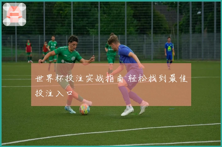 世界杯投注实战指南 轻松找到最佳投注入口