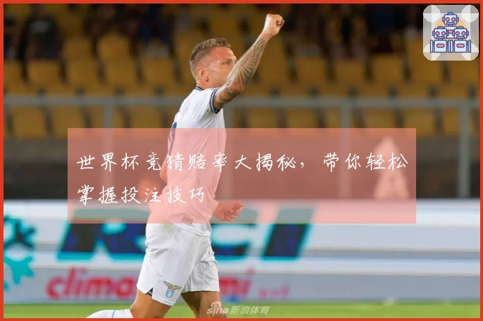 世界杯竞猜赔率大揭秘，带你轻松掌握投注技巧